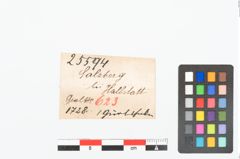Etikett zu Bronzegürtelhaken (NHMW-PRAE-025594)